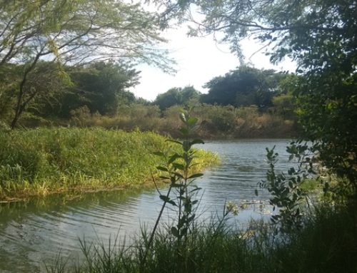 Mineral Bath in Milk River Clarendon, Jamaica